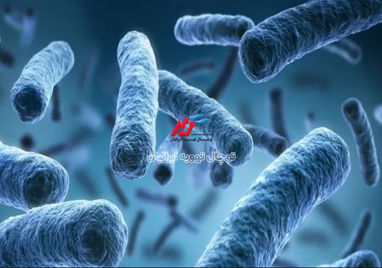 بررسی خطر لژیونلا در برج‌های خنک‌کننده و اقدامات ایمنی لازم